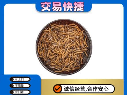 环江县高价回收散虫草